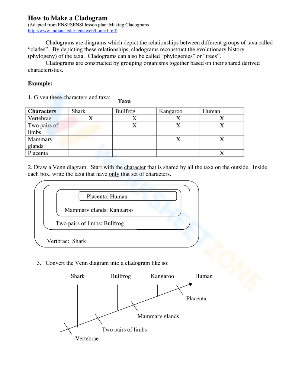 How to Make a Cladogram - Page 1