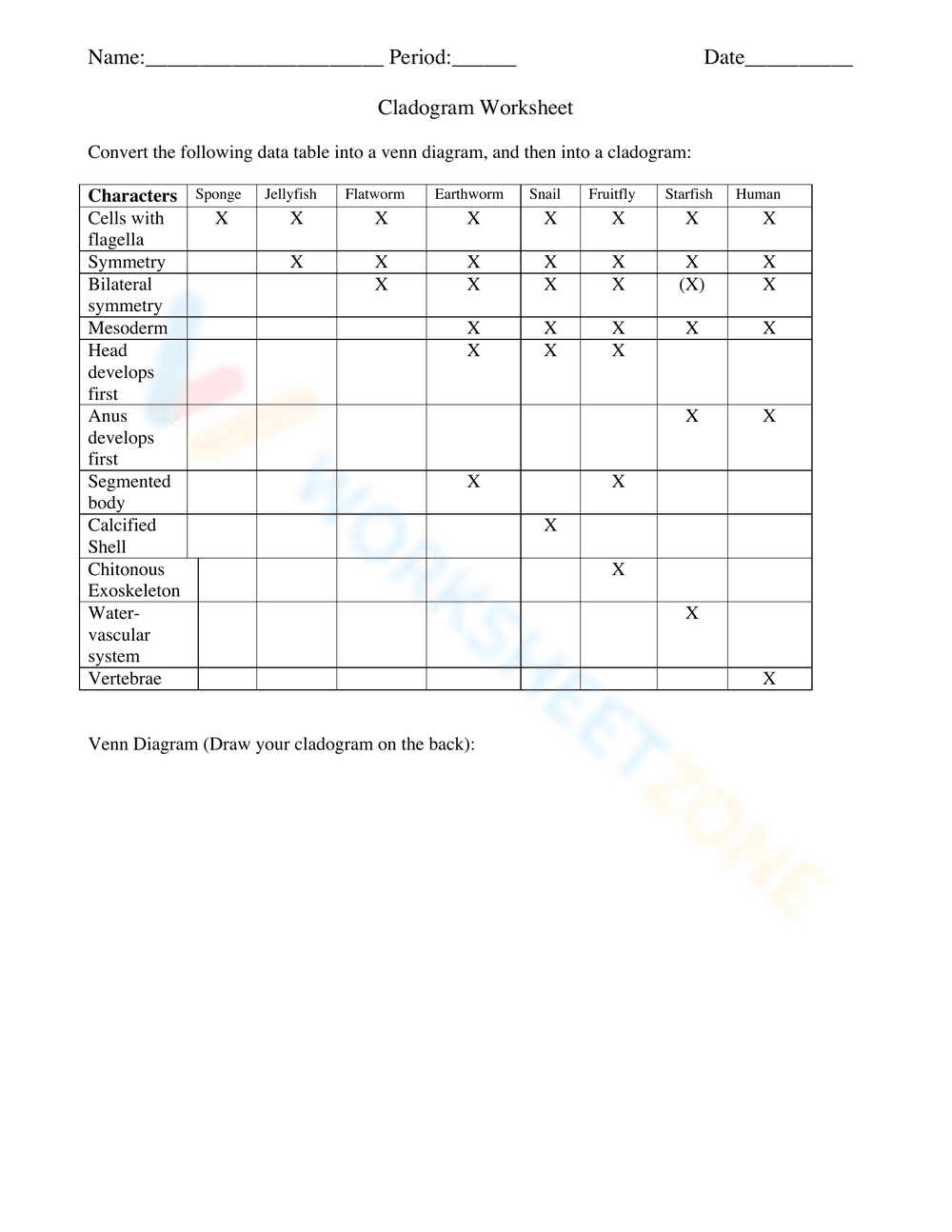 How to Make a Cladogram - Page 2
