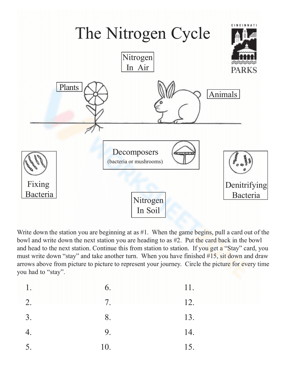 Nitrogen Cycle Game Instructions - Page 4