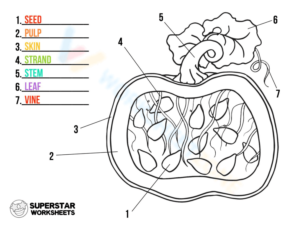 Creating a Pumpkin Chart - Page 1