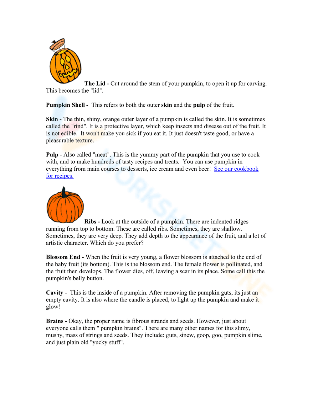 Updated Pumpkin Anatomy Study - Page 2