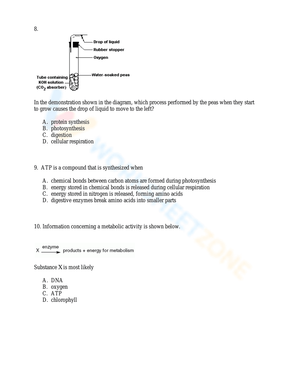 Practice Cellular Respiration Questions - Page 3