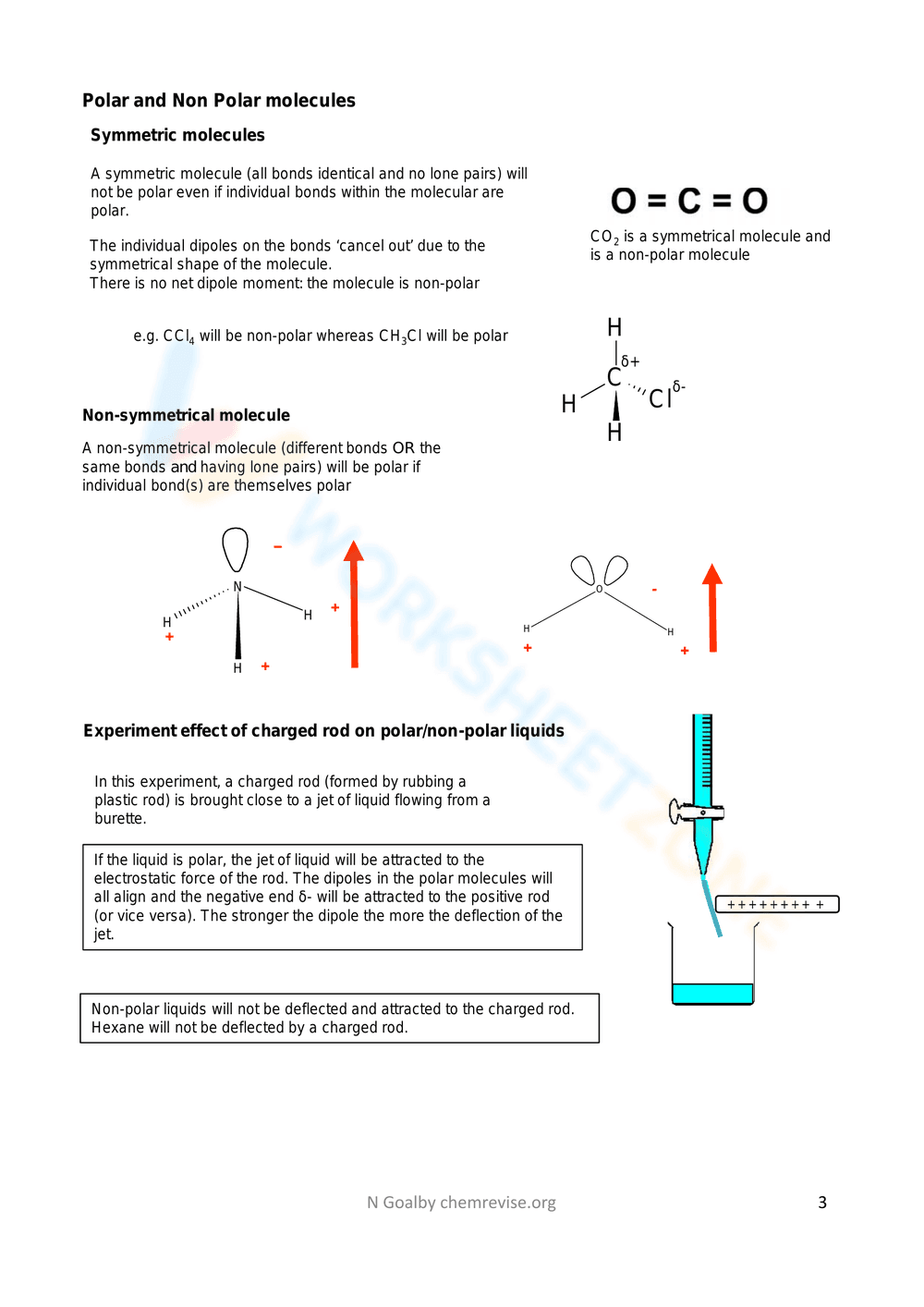 Learn About the Energy Pyramid - Page 3