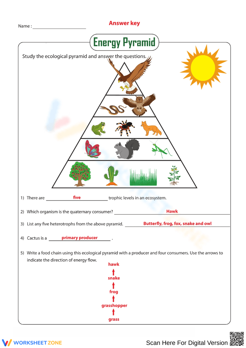 Discover the Wonders of Ancient Egypt - Page 2