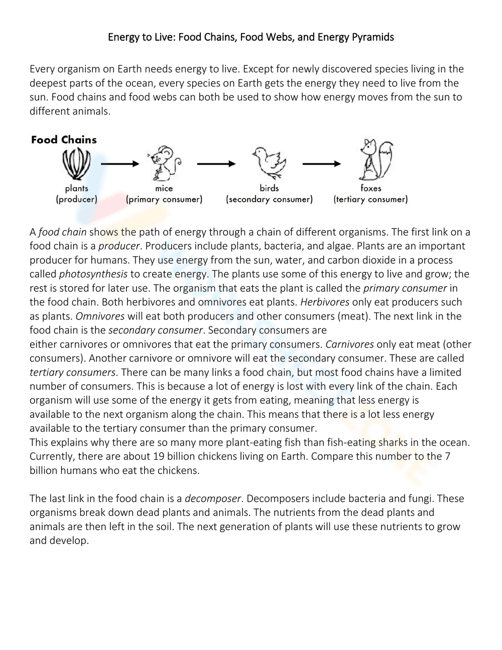 Exploring Energy Pyramid Concepts - Page 1