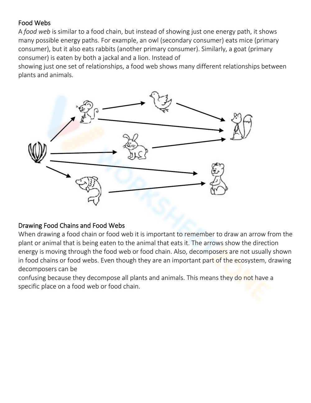 Exploring Energy Pyramid Concepts - Page 2