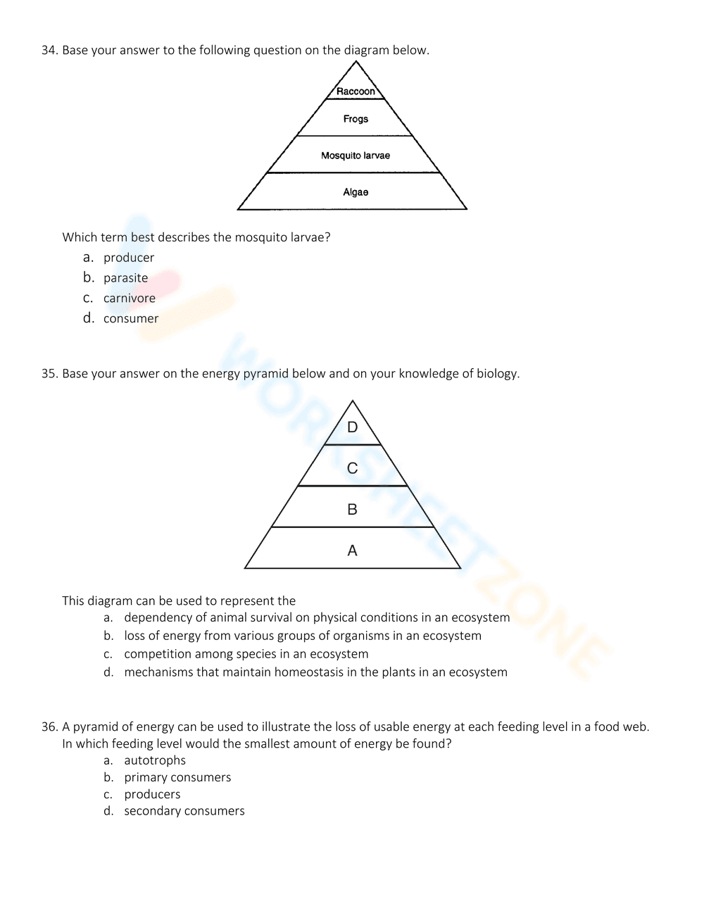 Exploring Energy Pyramid Concepts - Page 11