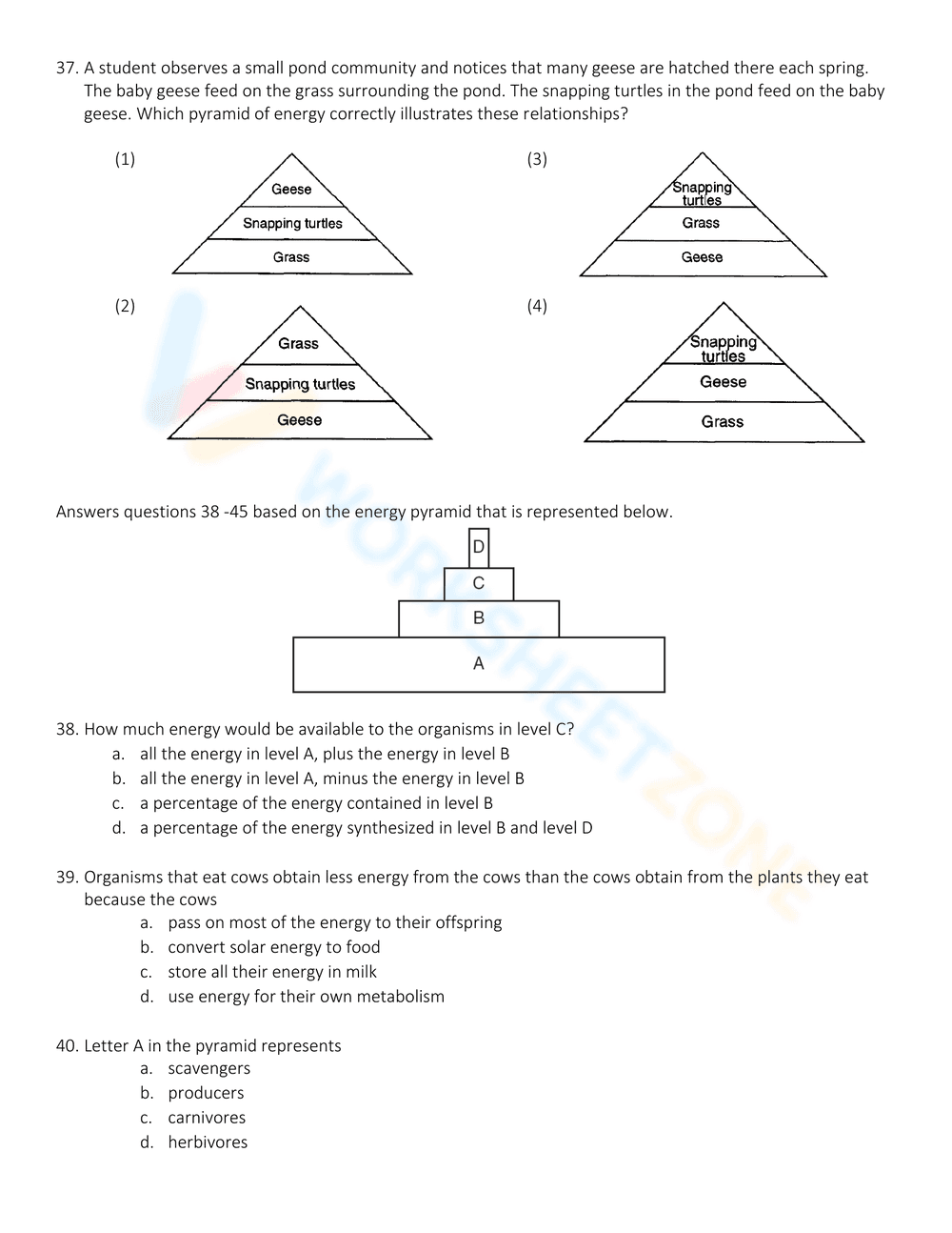 Exploring Energy Pyramid Concepts - Page 12