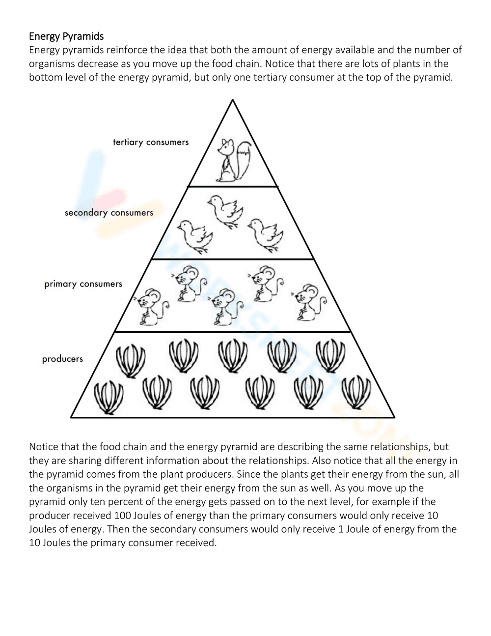 Exploring Energy Pyramid Concepts - Page 3