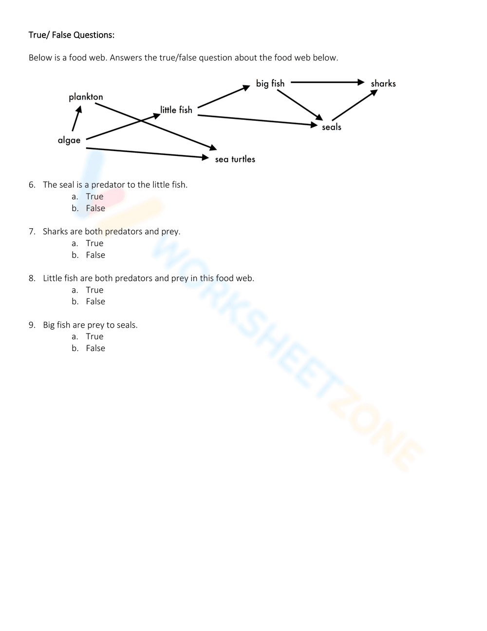 Exploring Energy Pyramid Concepts - Page 5