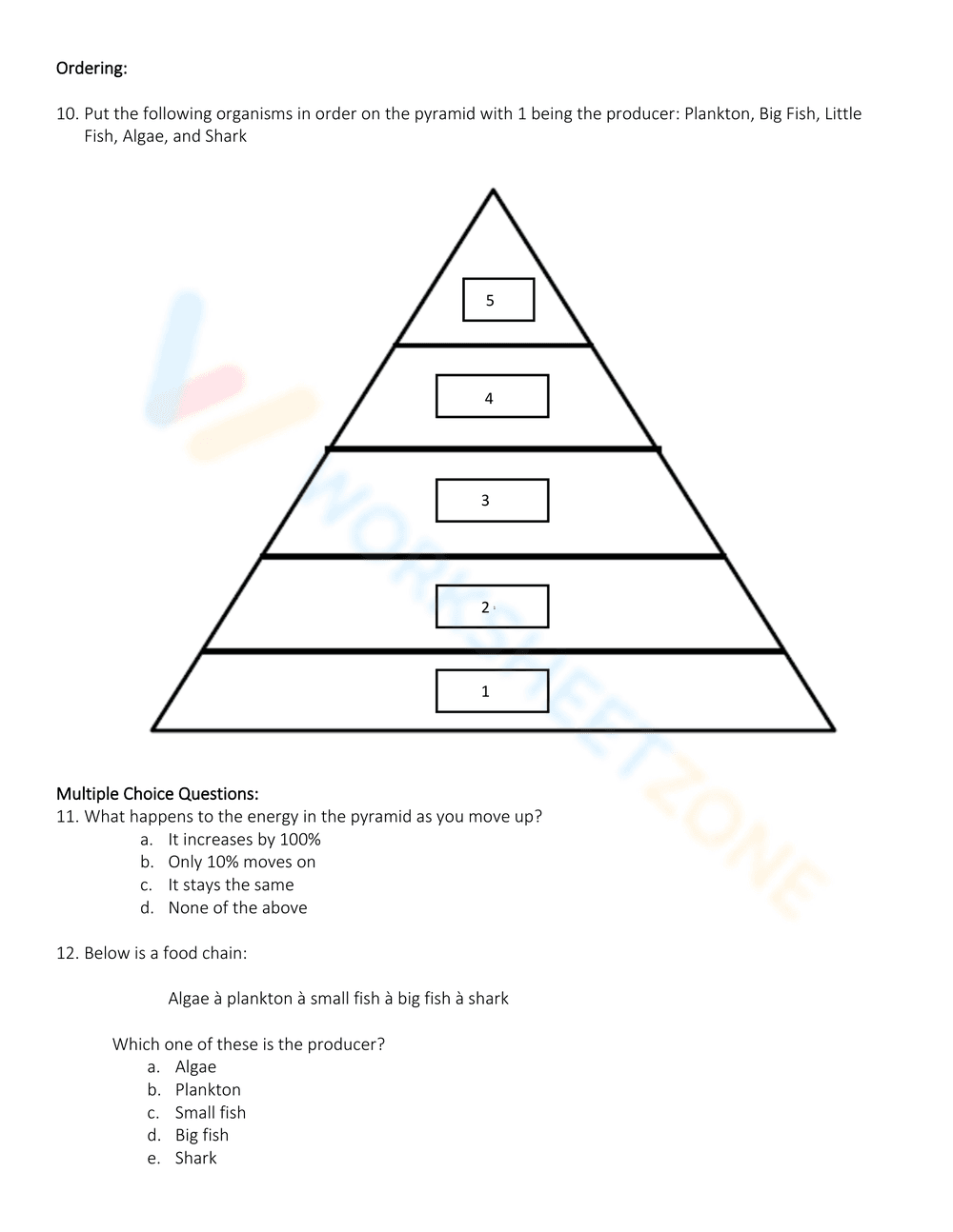 Exploring Energy Pyramid Concepts - Page 6