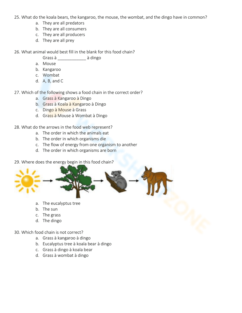 Exploring Energy Pyramid Concepts - Page 9