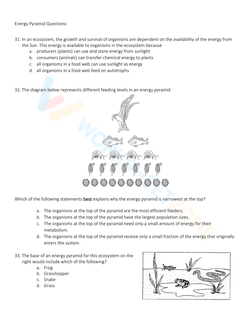 Exploring Energy Pyramid Concepts - Page 10
