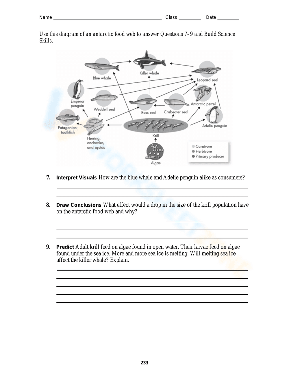 Practice with the Energy Pyramid - Page 2