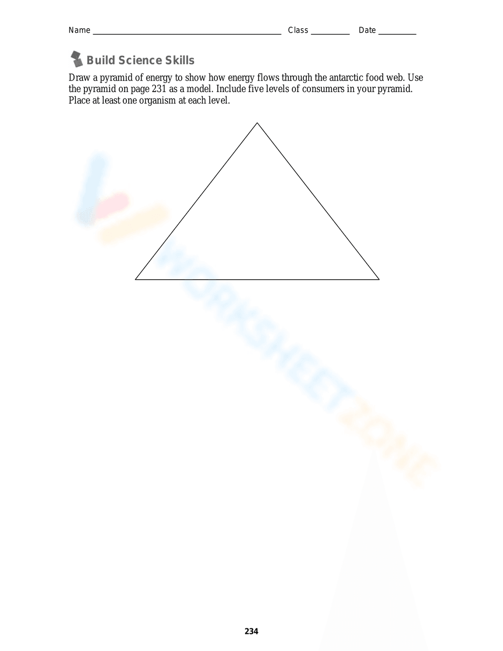 Practice with the Energy Pyramid - Page 3