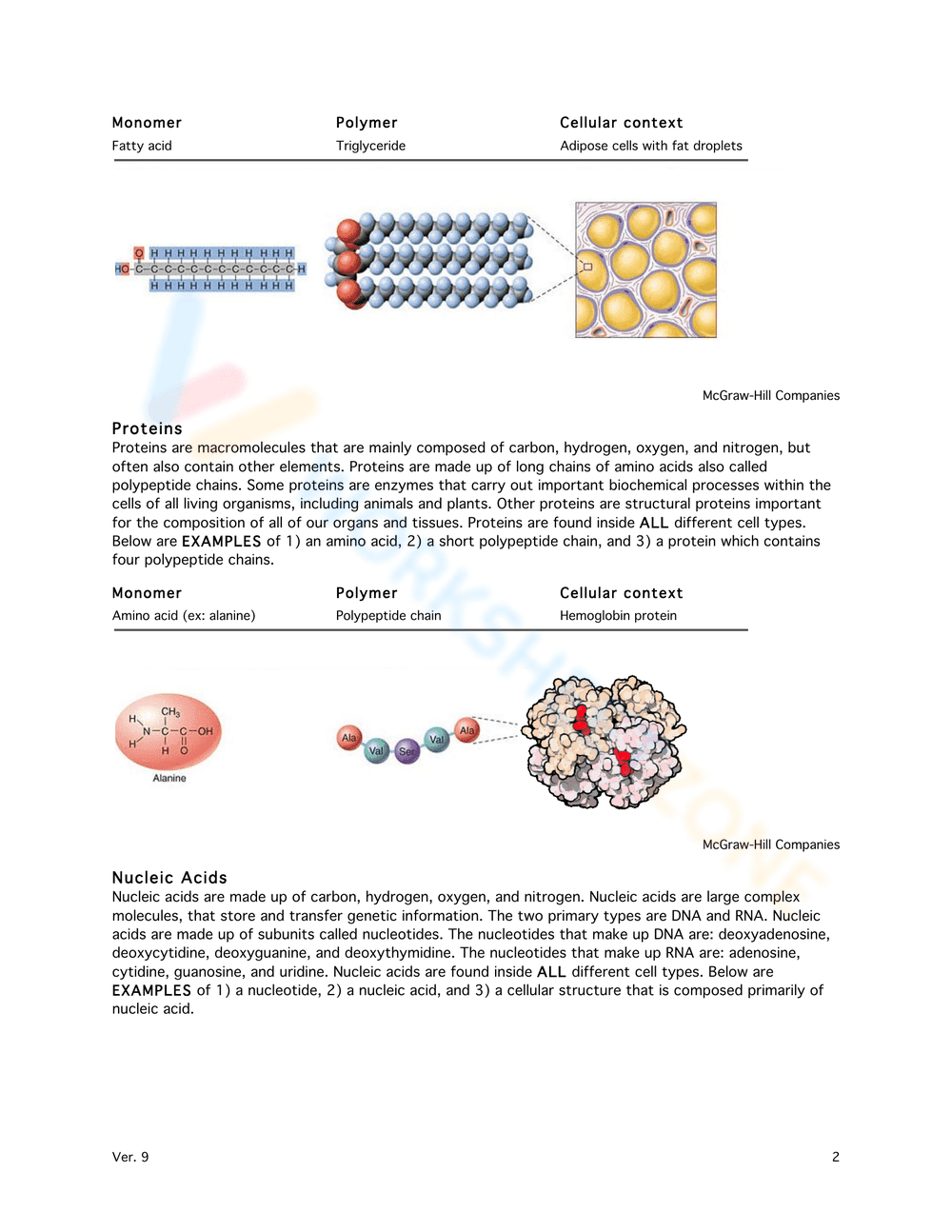 Macromolecules Exercise: Chemistry - Page 2