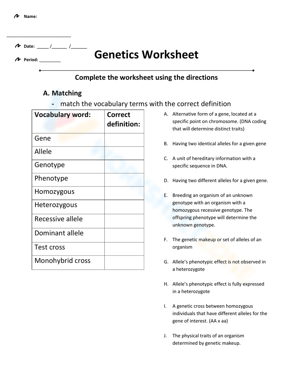 Comprehensive Genetics Worksheet for Students - Page 1