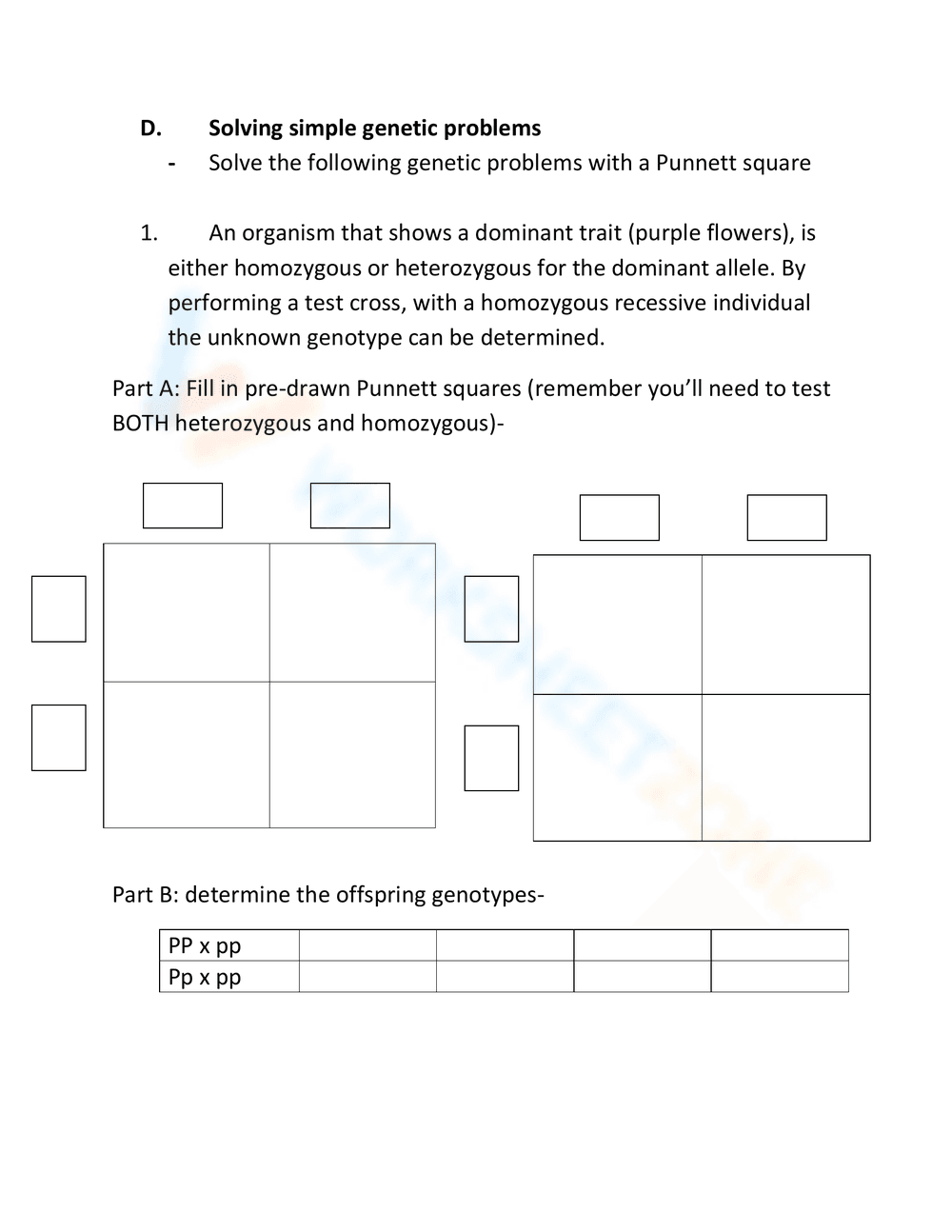 Comprehensive Genetics Worksheet for Students - Page 2