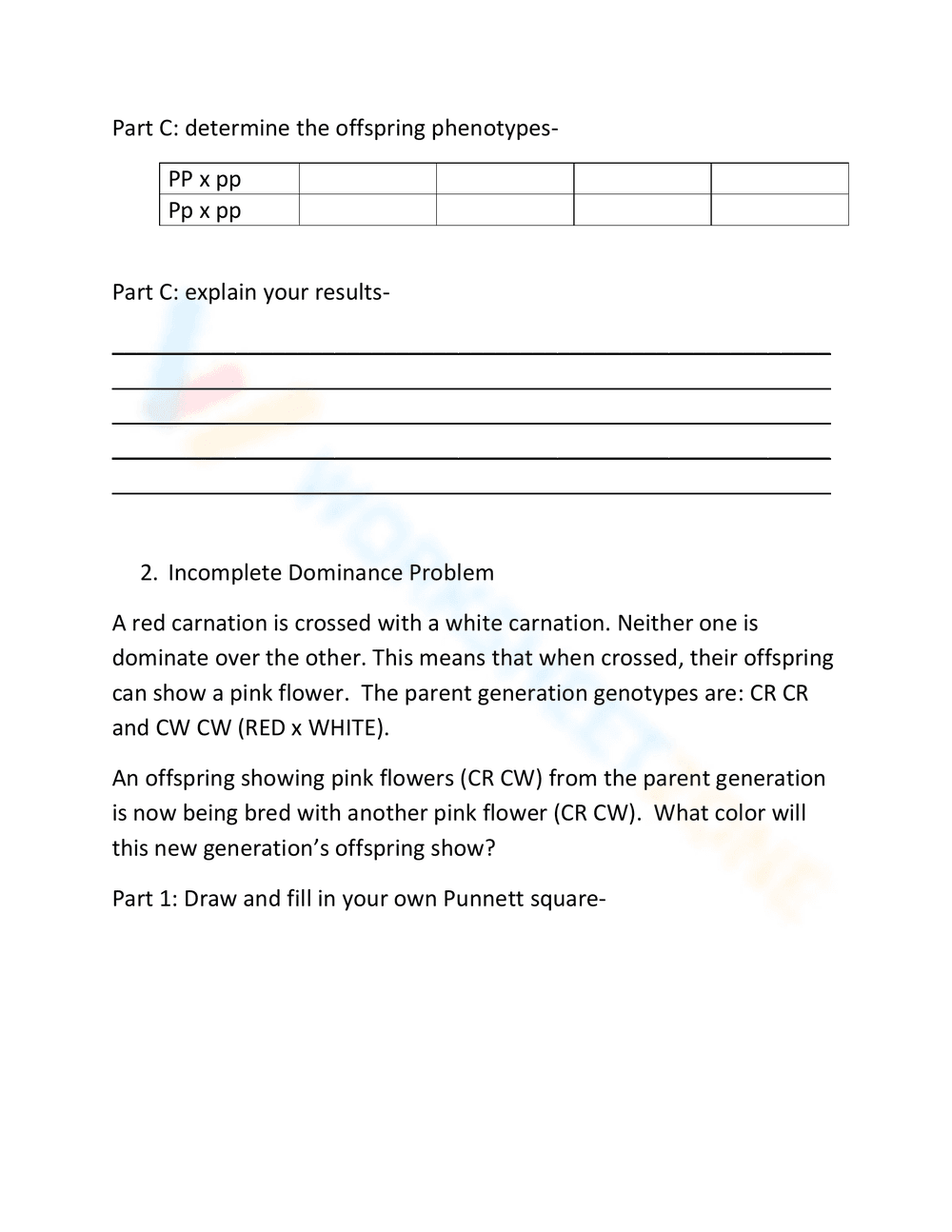 Comprehensive Genetics Worksheet for Students - Page 3