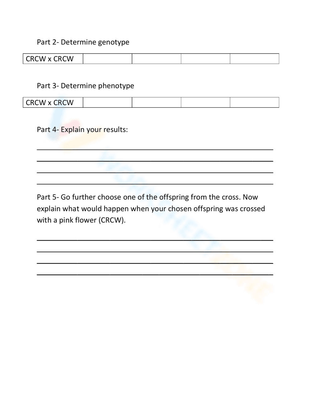 Comprehensive Genetics Worksheet for Students - Page 4