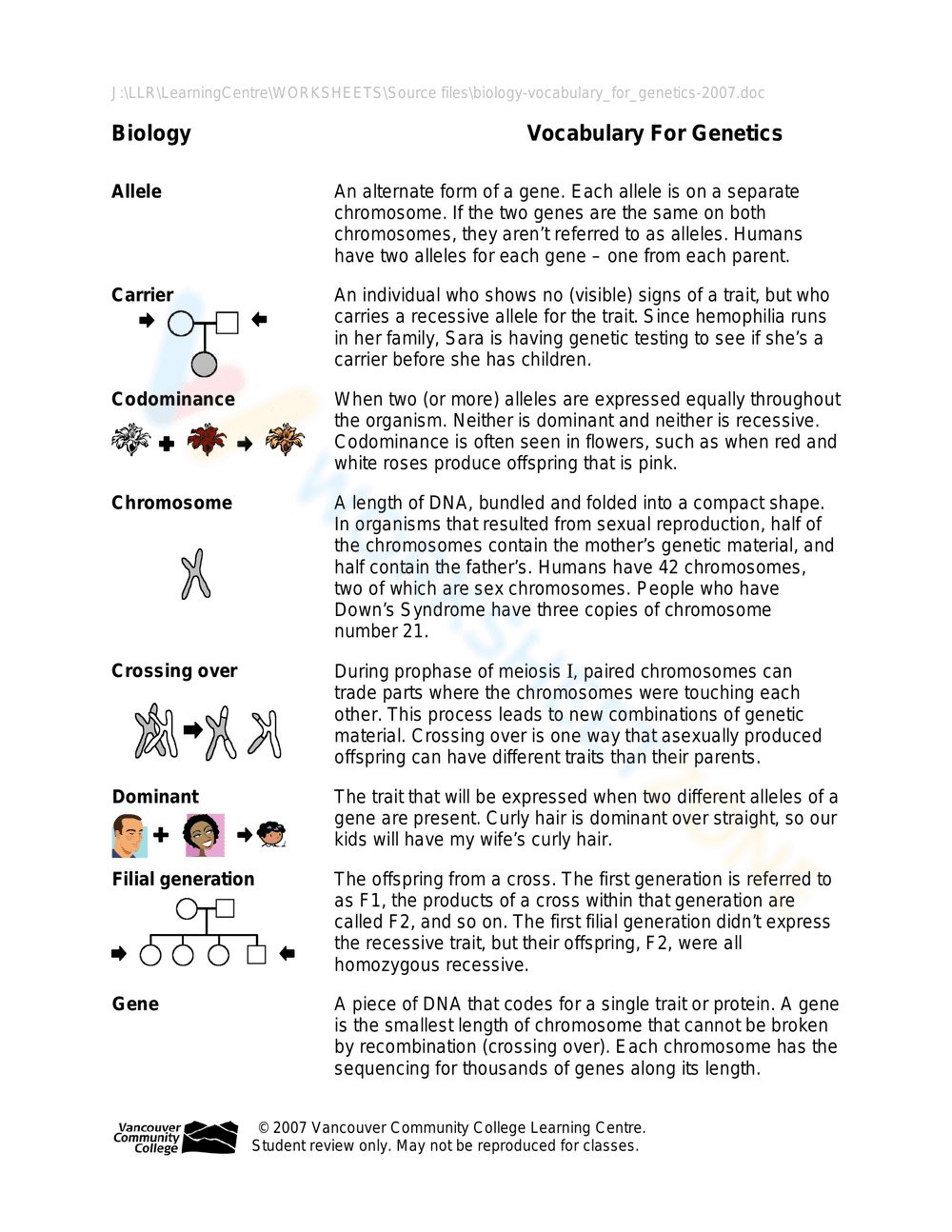 Updated Genetics Vocabulary Worksheet - Page 1