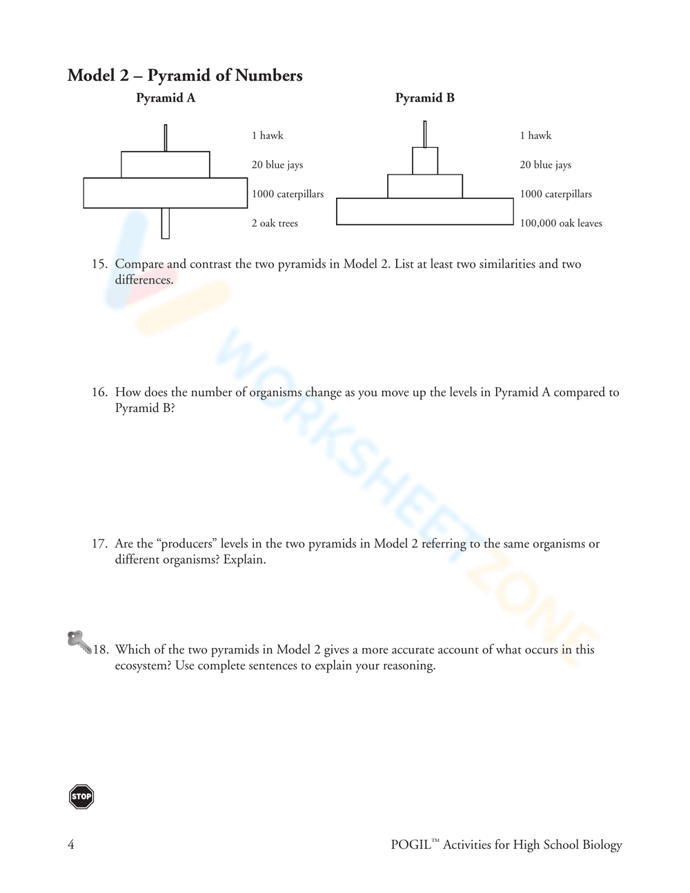 Updated Ecological Pyramids Worksheet - Page 4