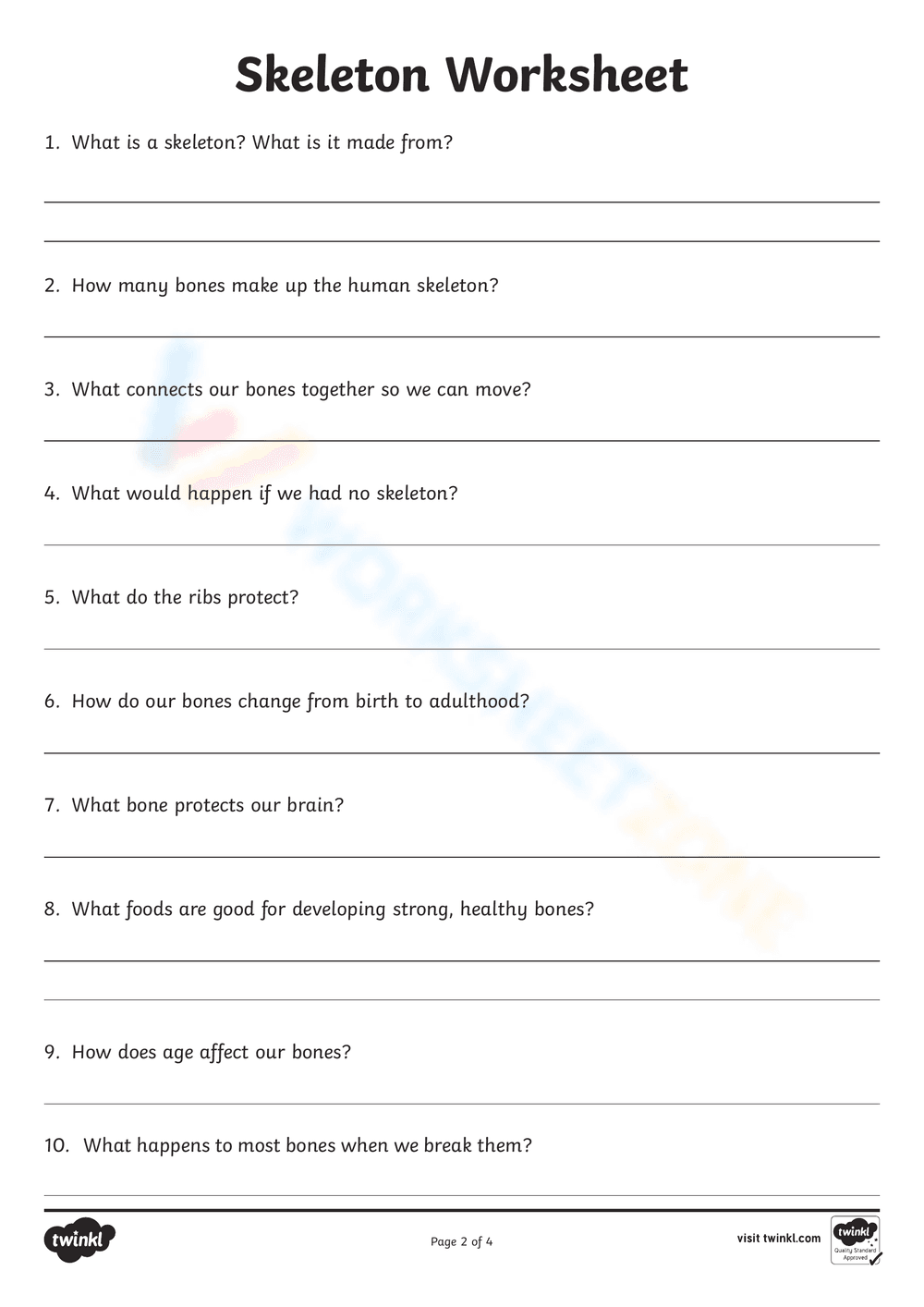 Anatomy: Explore the Human Skeleton Worksheet - Page 1