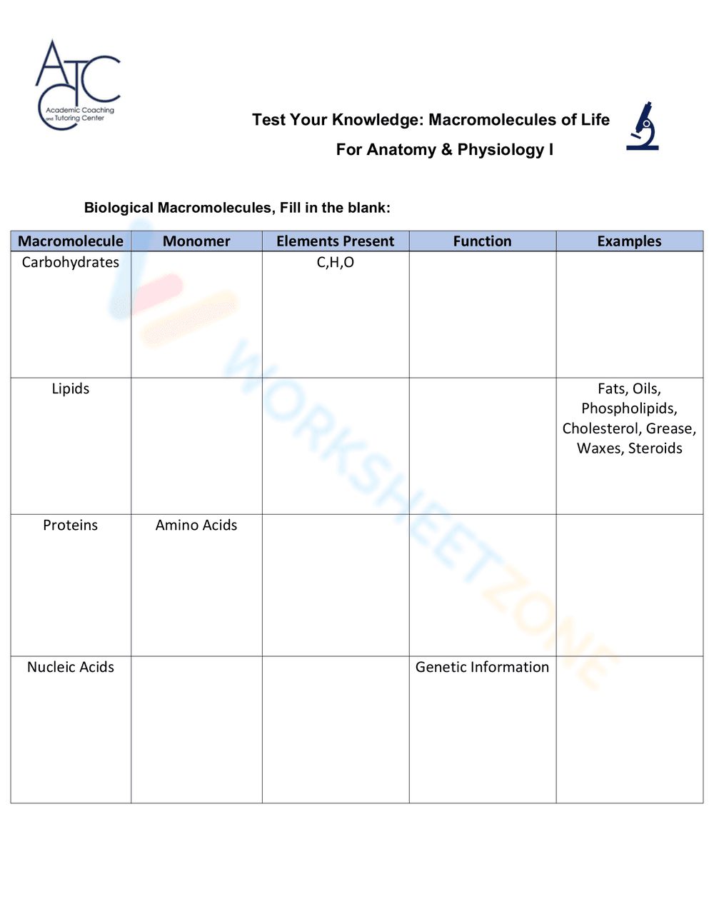 Macromolecules of Life - Page 1