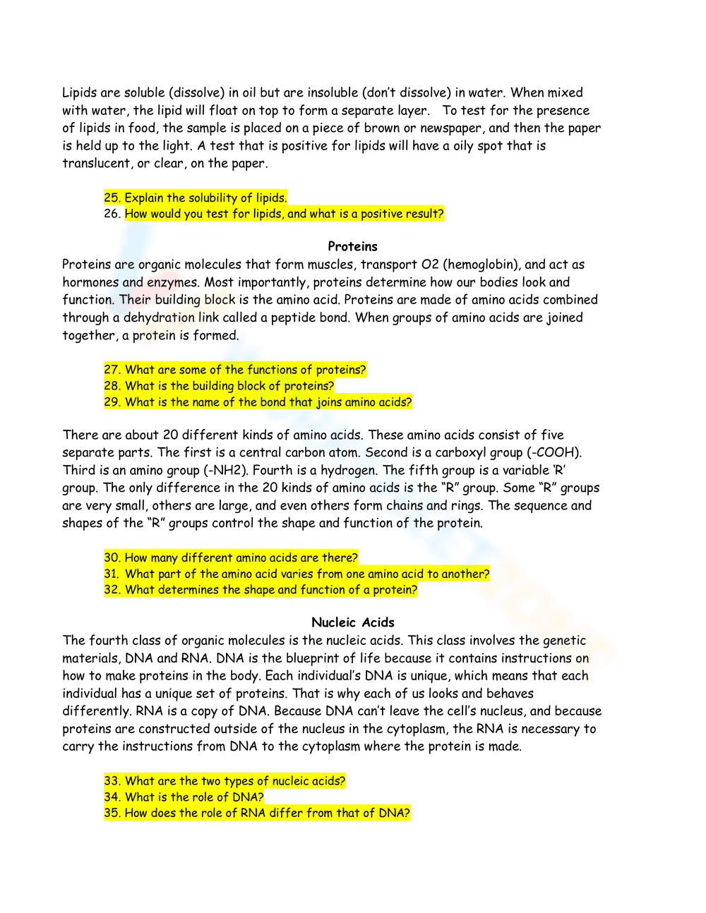 Macromolecule Biomolecule Review Worksheet - Page 3