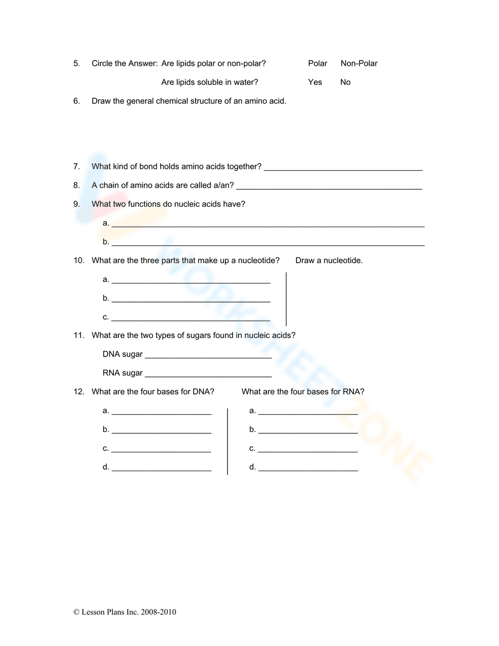 Macromolecule Worksheet for Biology Students - Page 2