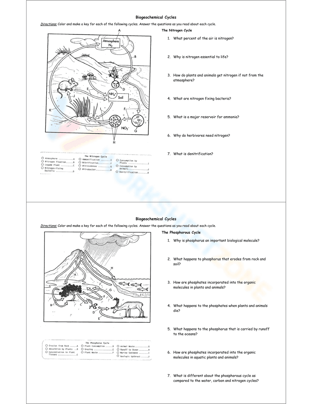 Understanding Biogeochemical Cycles - Page 2