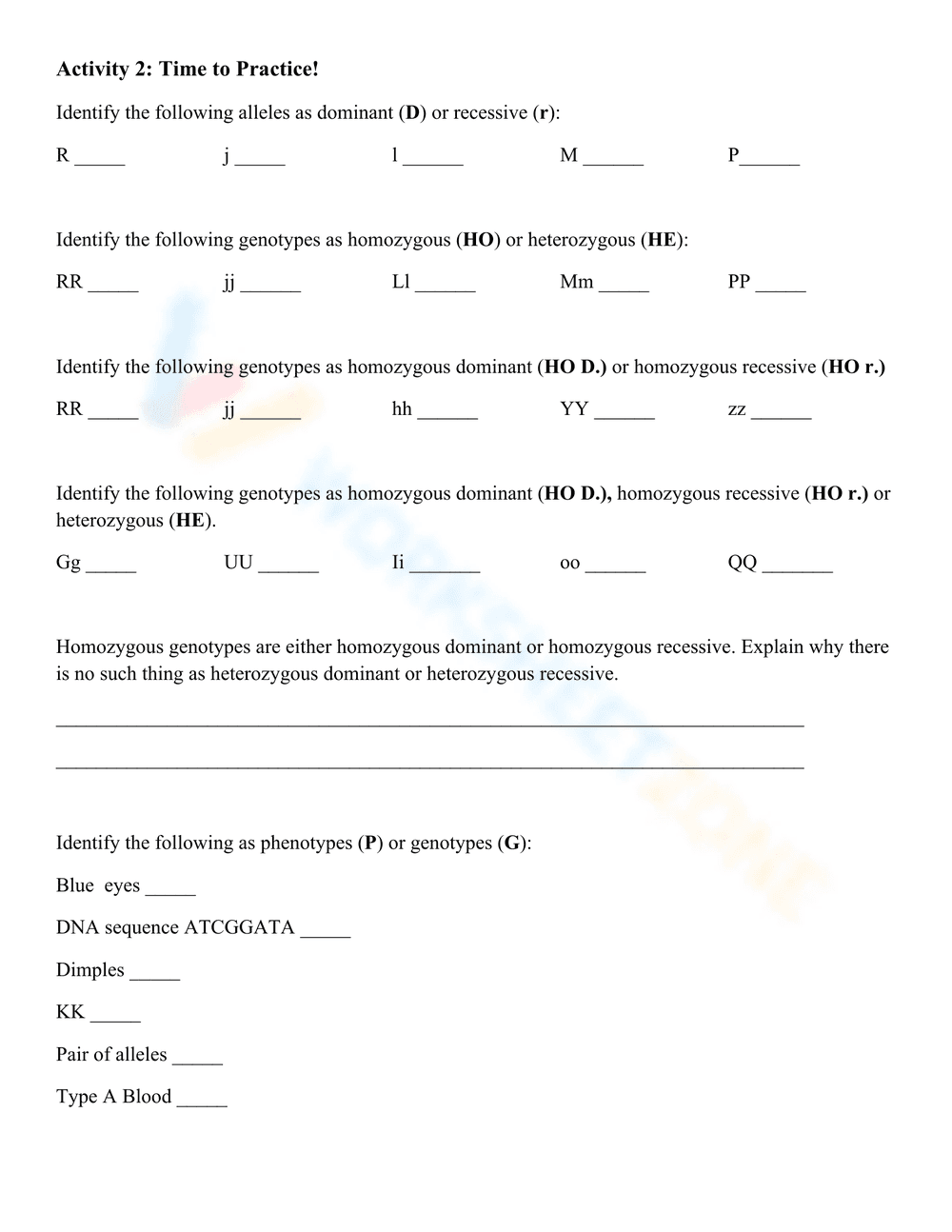 Genetics Vocabulary: Practice Worksheet for Biology - Page 2