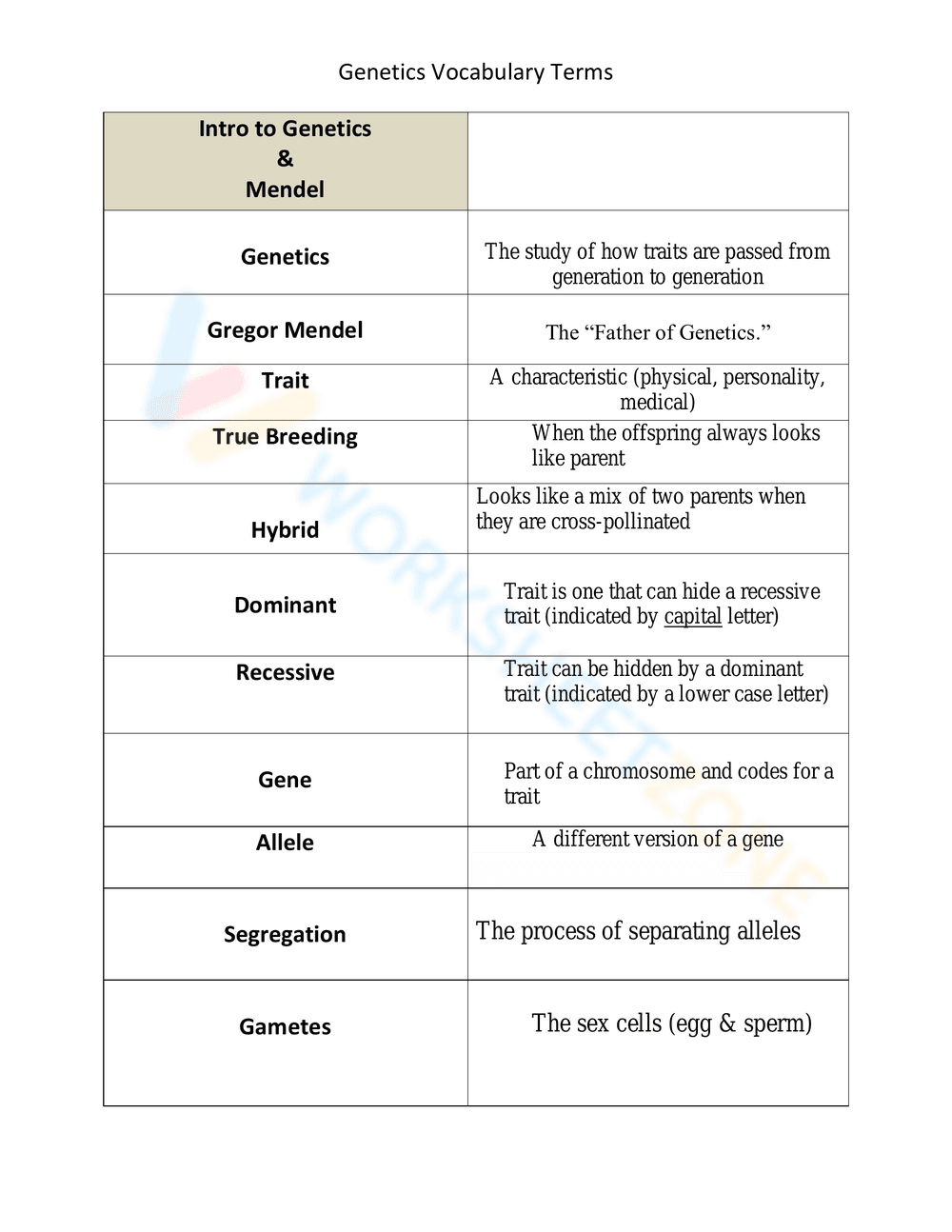 Updated Genetics Vocabulary Terms - Page 1