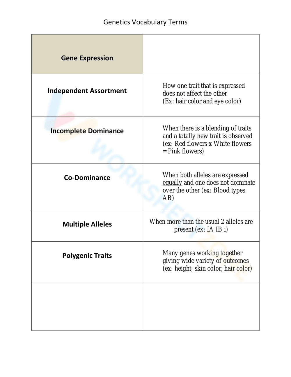 Updated Genetics Vocabulary Terms - Page 3
