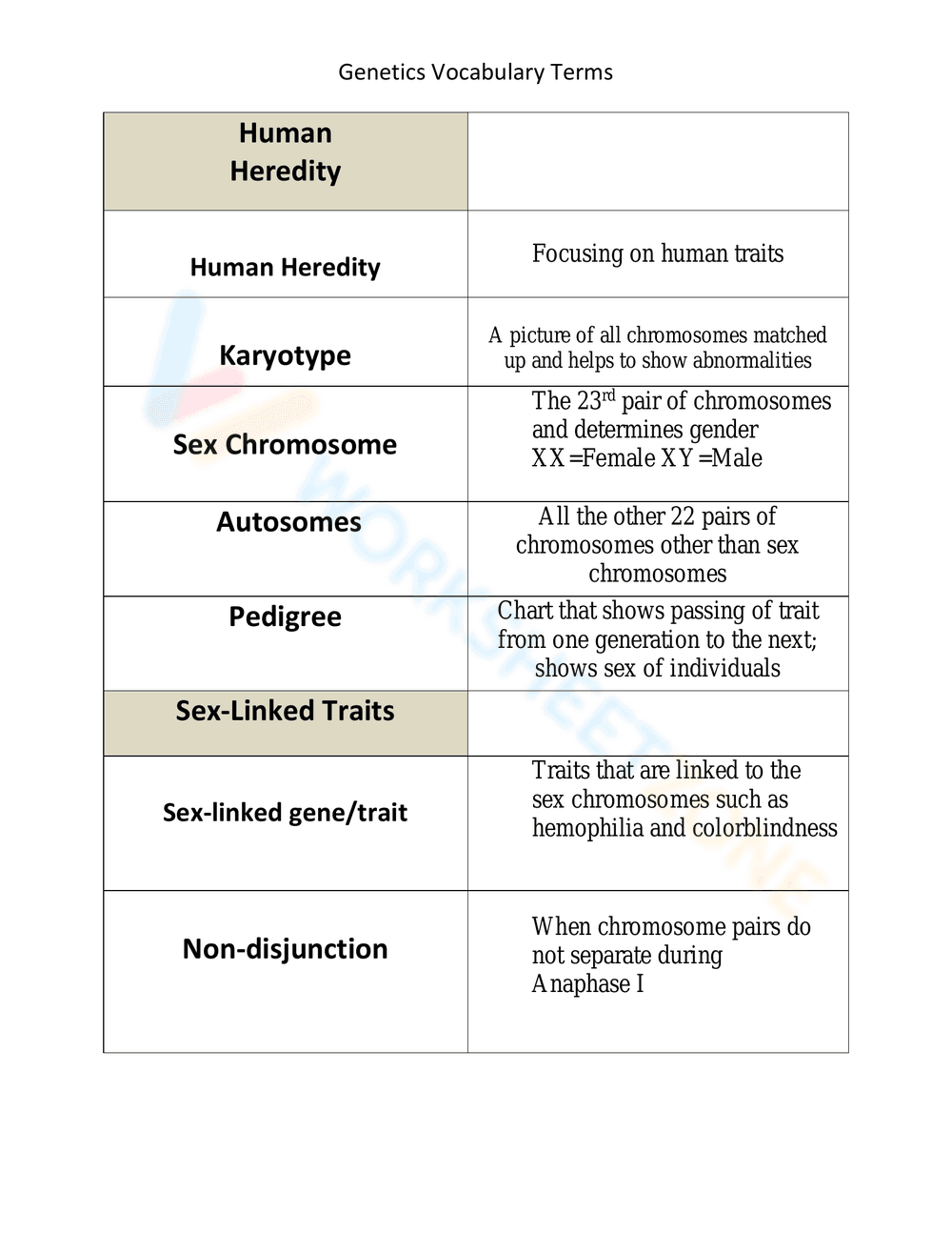 Updated Genetics Vocabulary Terms - Page 4
