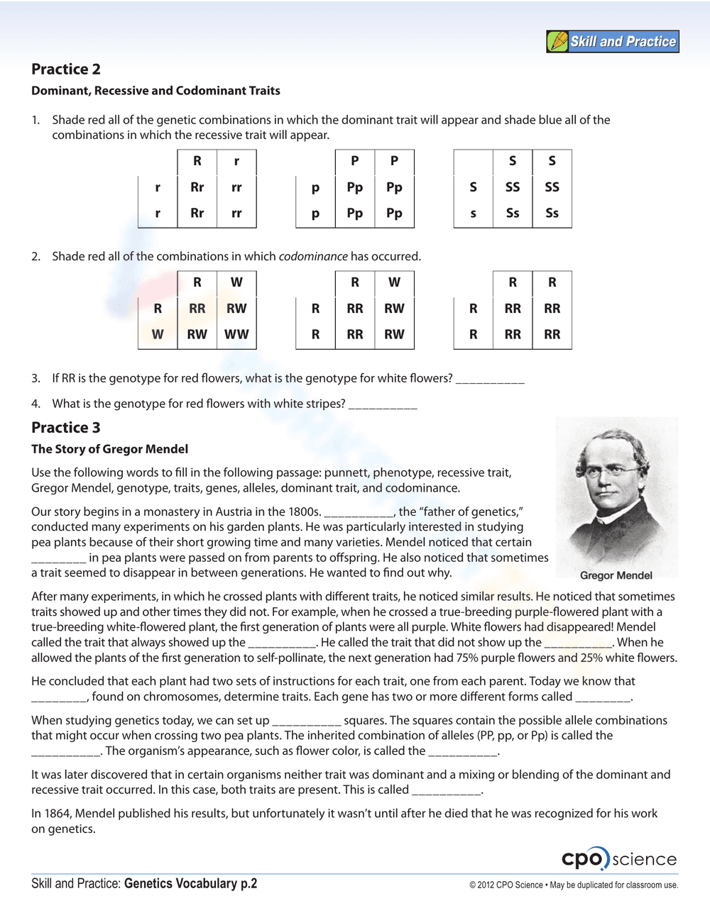 Genetics Vocabulary - Page 2