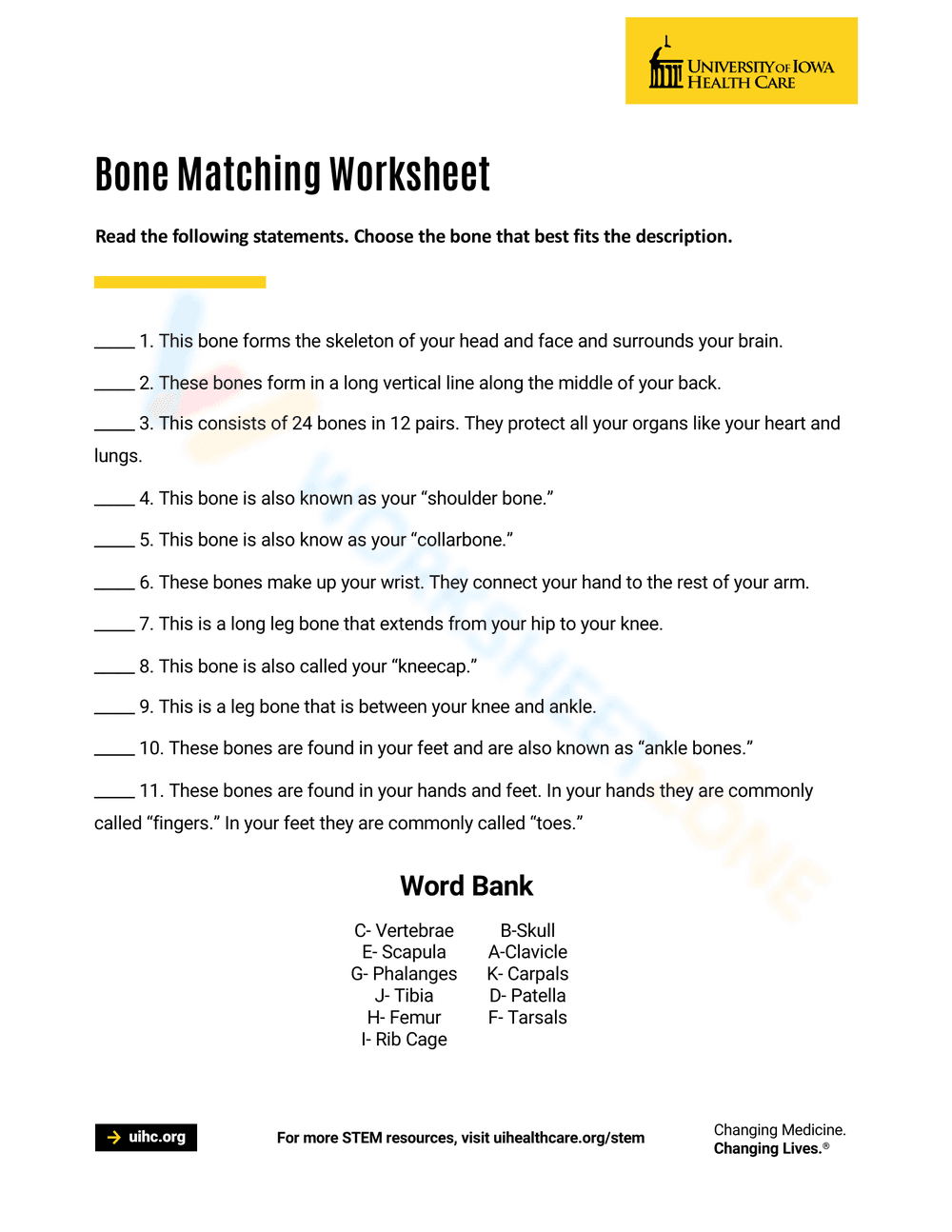 Anatomy: Bone Matching Worksheet for Students - Page 1