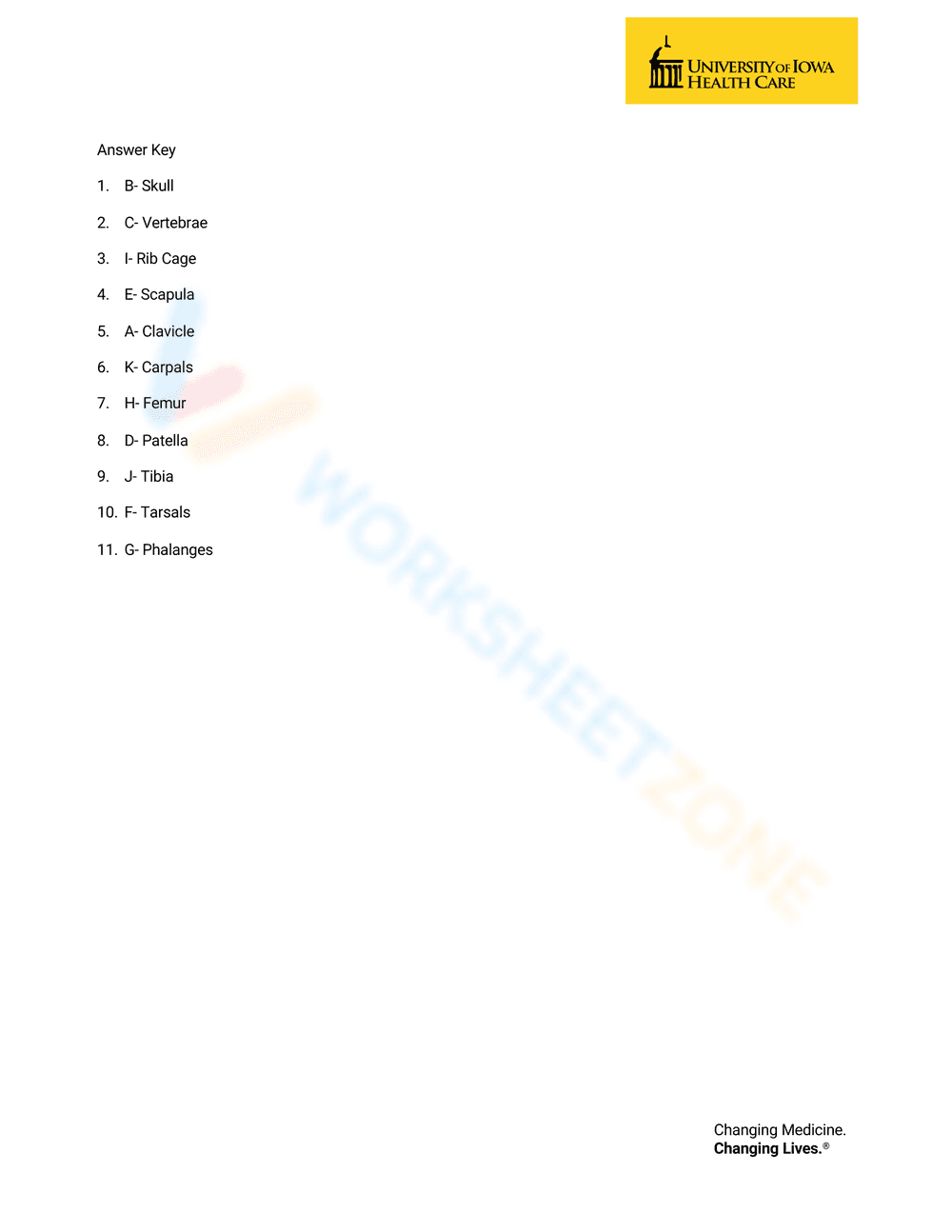 Anatomy: Bone Matching Worksheet for Students - Page 2