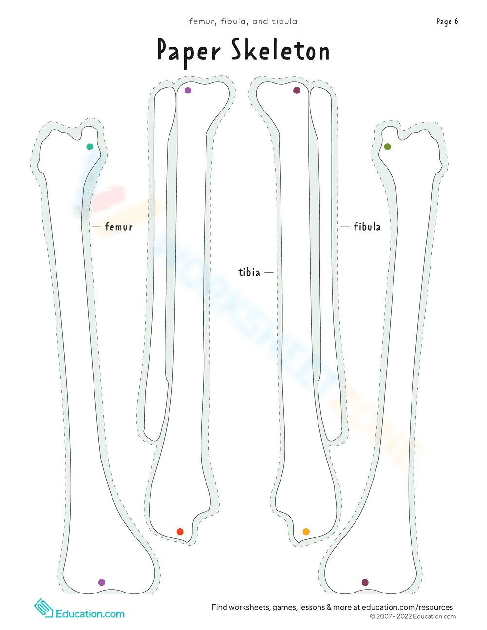 Anatomy Craft: Build Your Own Paper Skeleton - Page 5
