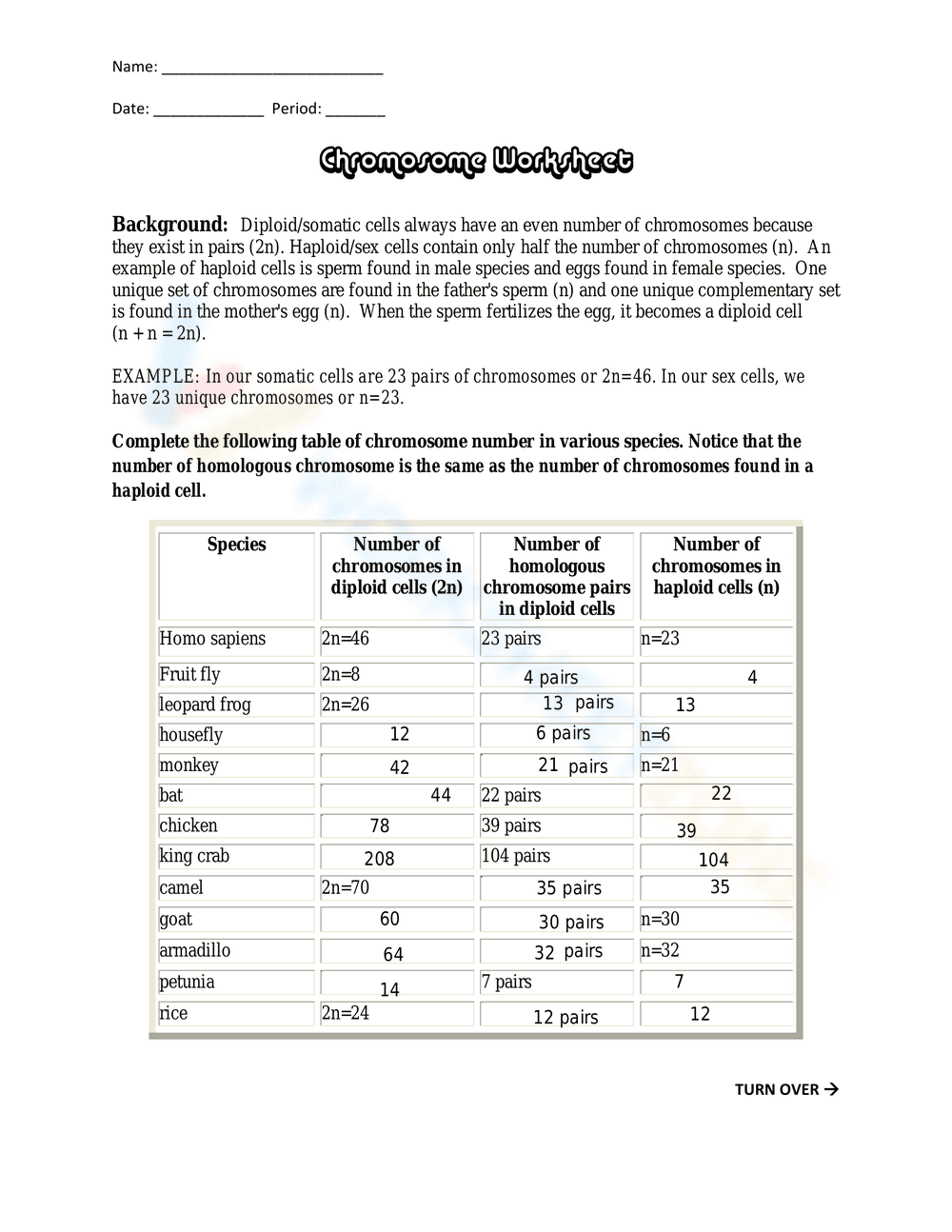 Genetics: Chromosome Worksheet for In-Depth Study - Page 1