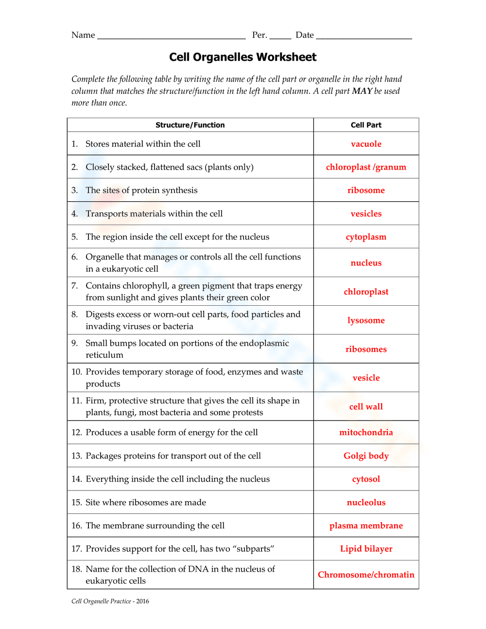 Cell Organelles Worksheet: Structure and Function - Page 1