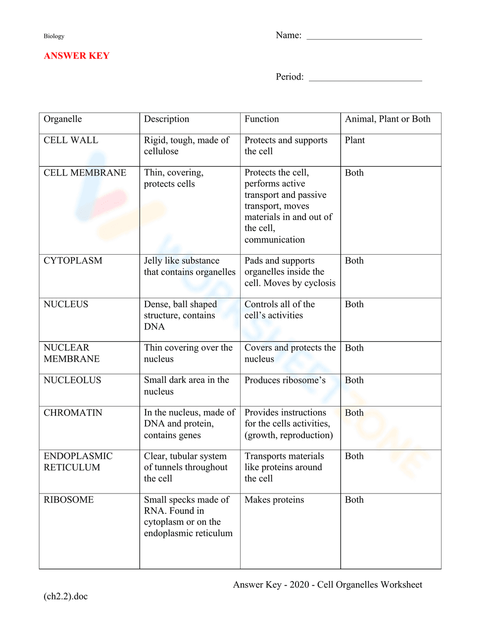 Cell Organelles Worksheet - Page 1