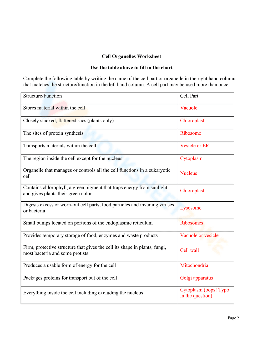 Cell Organelles Worksheet - Page 3