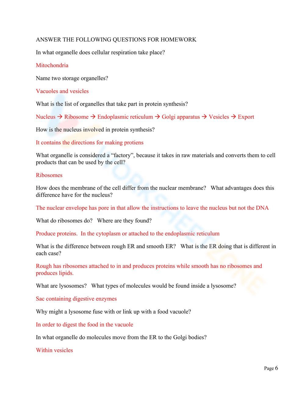 Cell Organelles Worksheet - Page 6