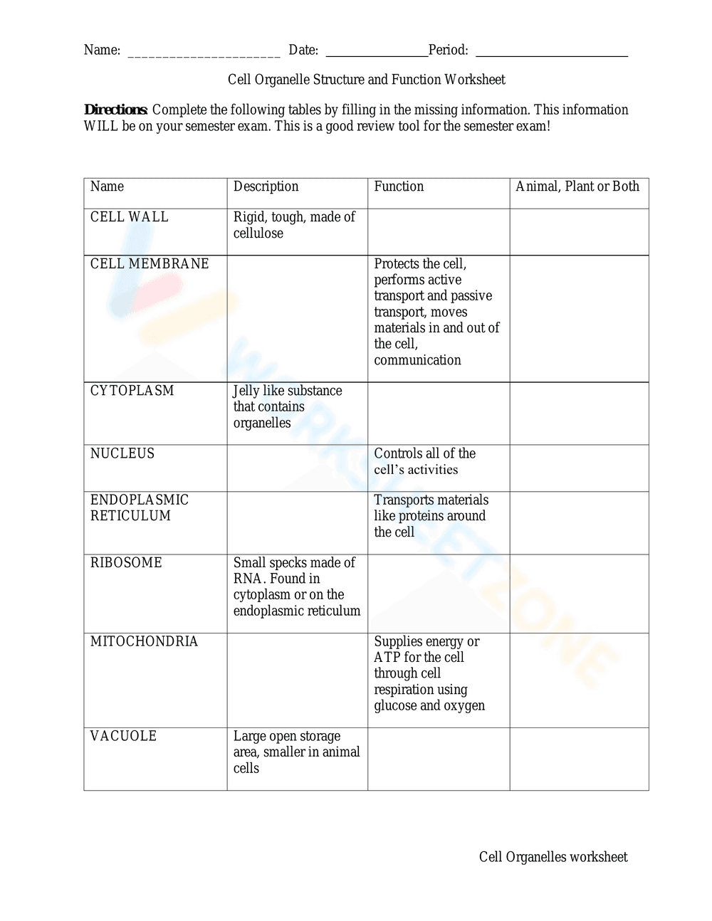 Cell Organelle: Structure and Function Worksheet - Page 1