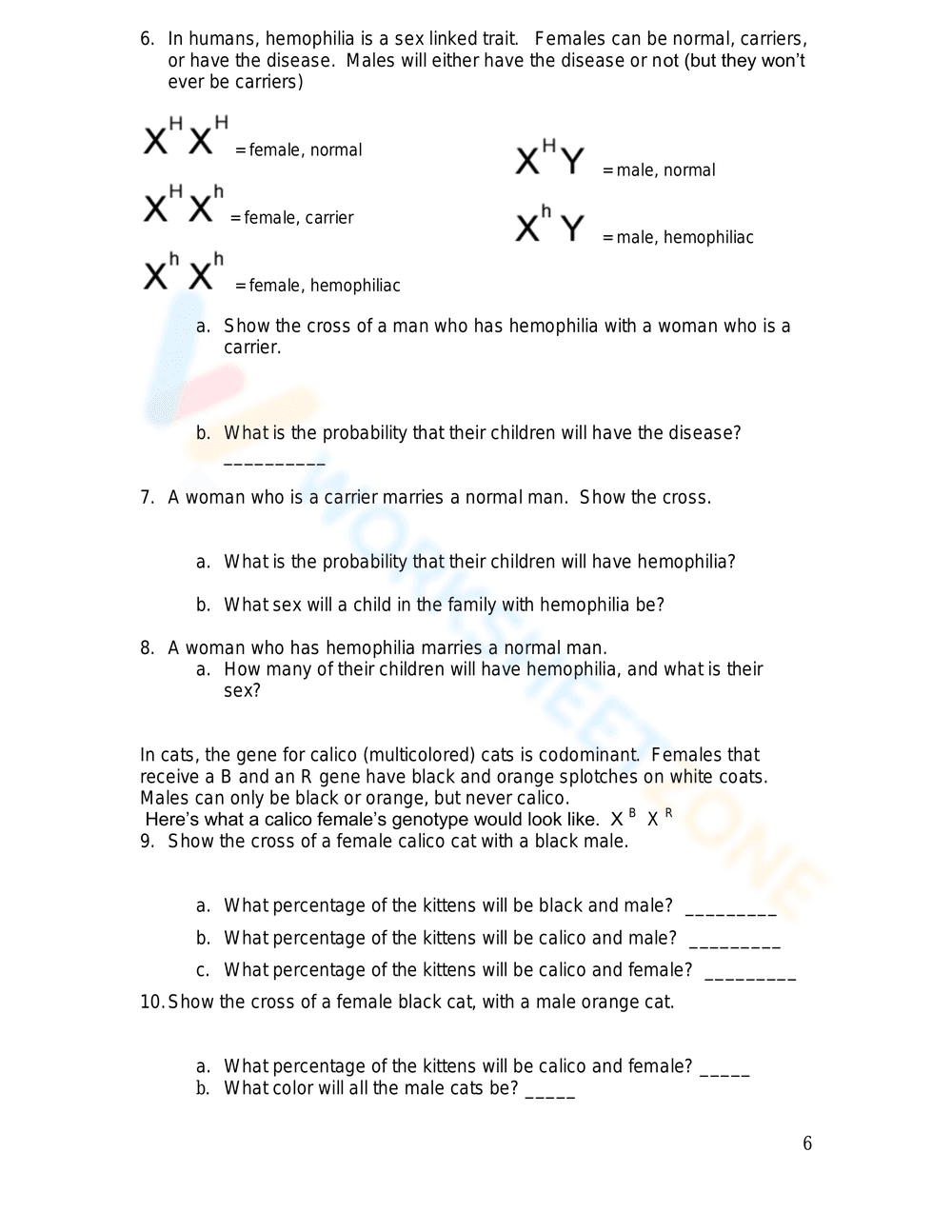 Human Genetics: Codominance Worksheet - Page 6