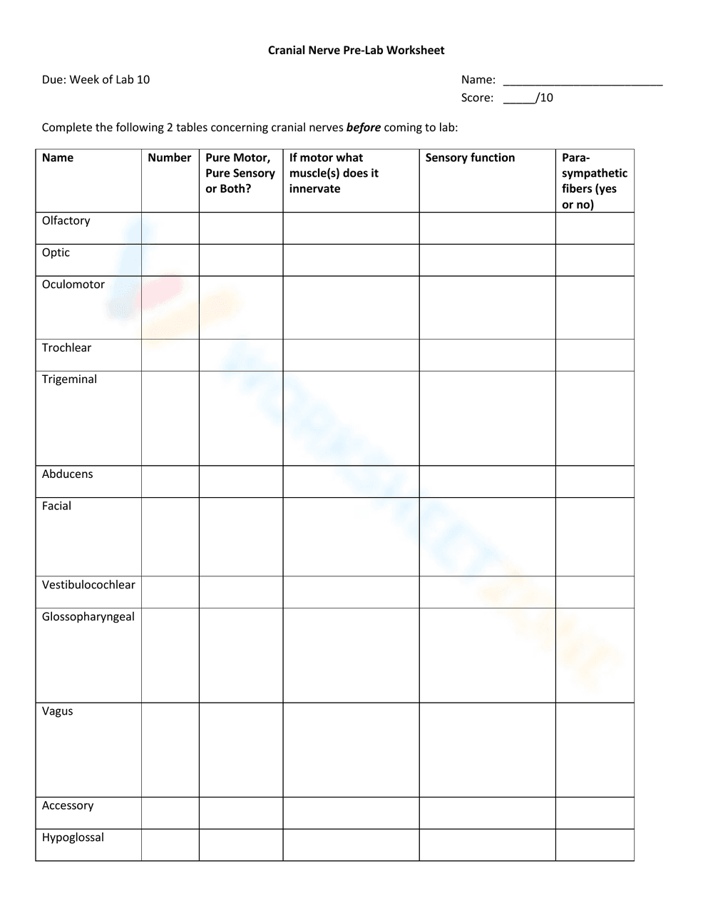 Identify Cranial Nerves With Worksheet - Page 1