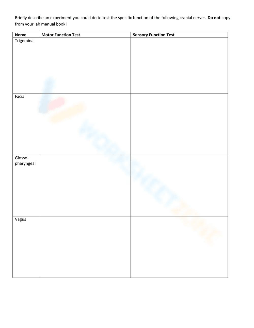 Identify Cranial Nerves With Worksheet - Page 2