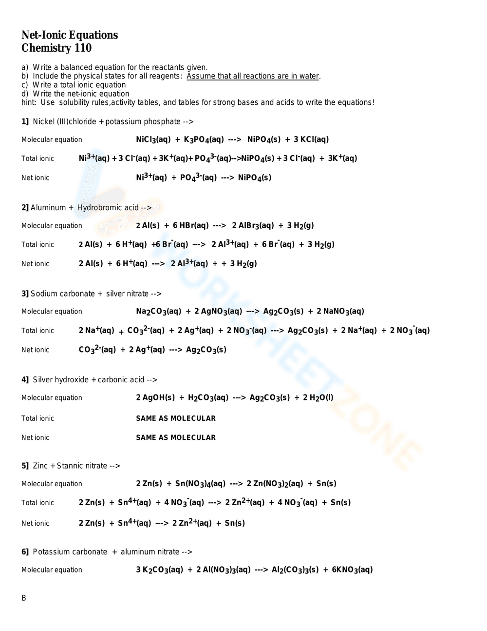 Understand Net Ionic Equations - Page 1