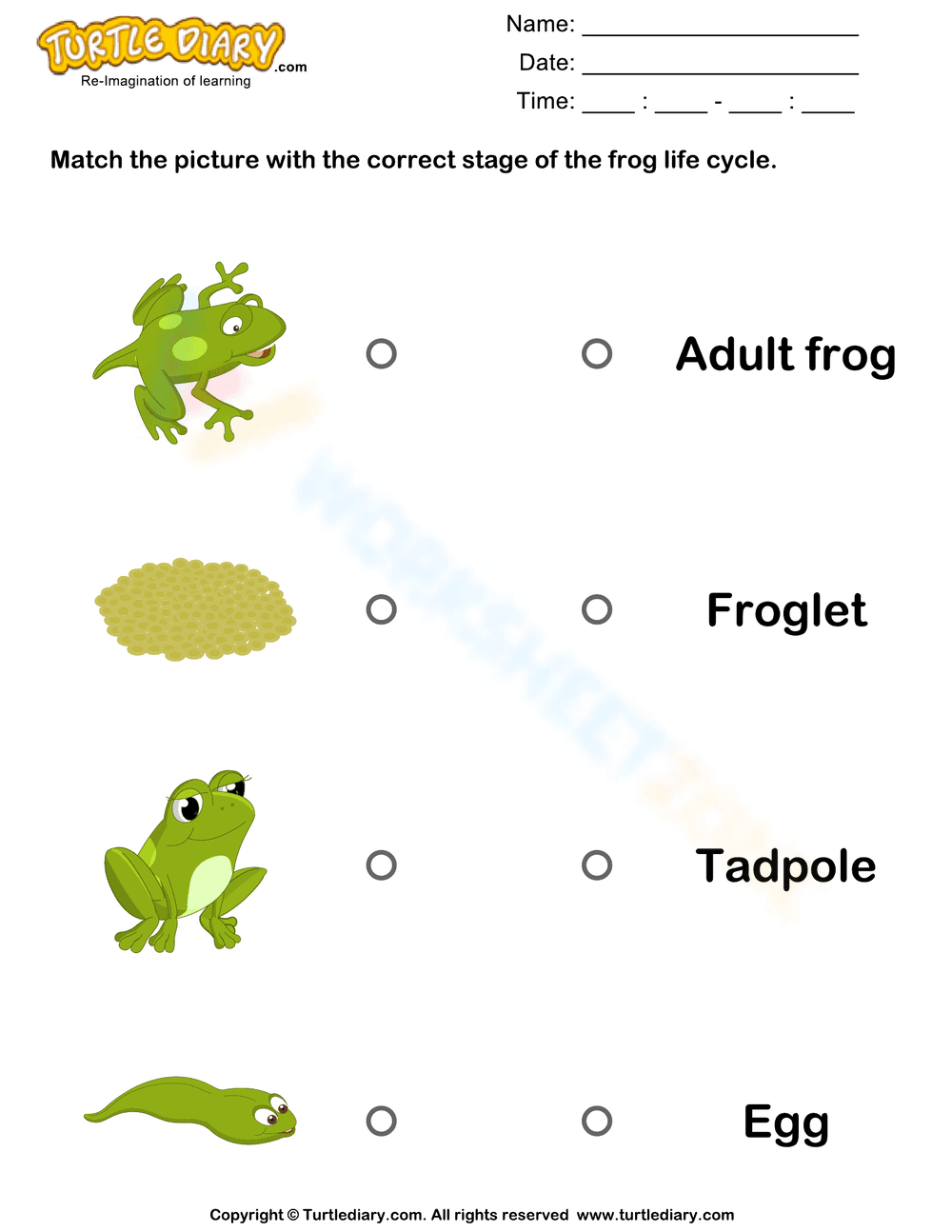 Understanding Frog Life Cycle - Page 1